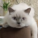 ���� �����, ������-��-����, 57 ��� - ��������� 30 ������ 2025 � ������ ������ ��������