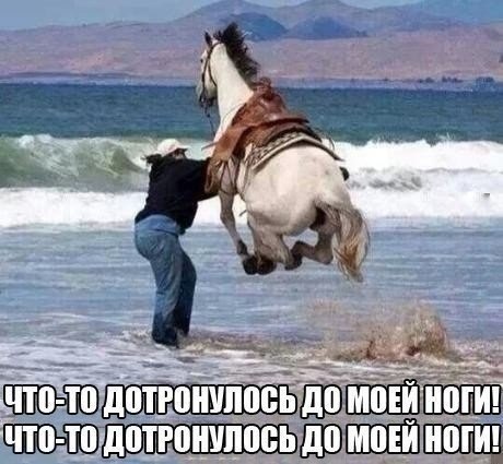 ? ,  ! - 19  2024  10:51