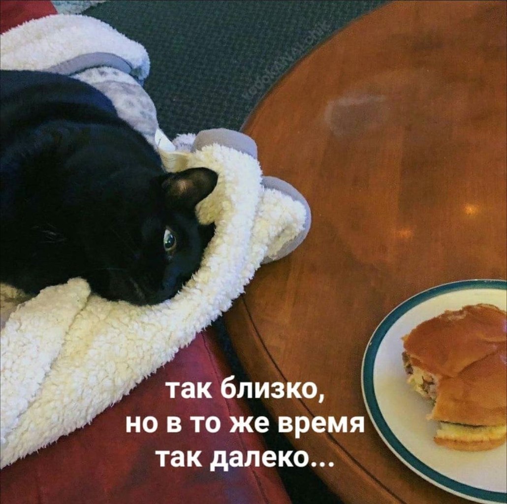    - 23  2024  11:23