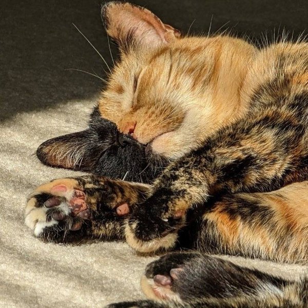     .  16 ,     ,  ,   ... - 5