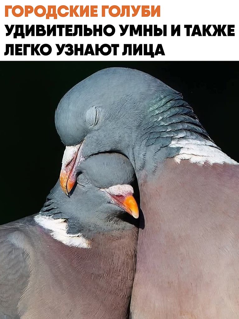 ��������� ������ ����� �������� �������������, �������� � ����� ���� � ������������ ������. �� ���� ...