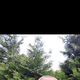 ������, 48 ���, ����