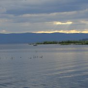 ����, 35 ���, ���������