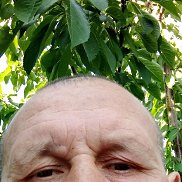 , 46 , 