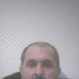 , 44, 