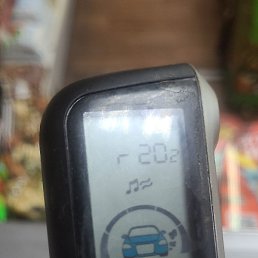 ����, ������, 37 ���