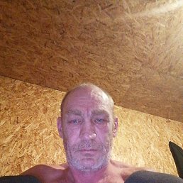 ������, 47 ���, �����������