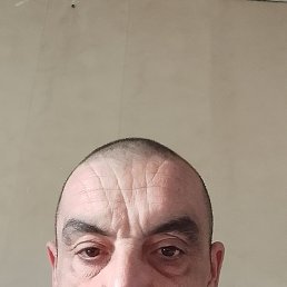 , 46, 