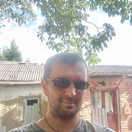 ������, ���������, 41 ���