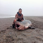 , 35 , 