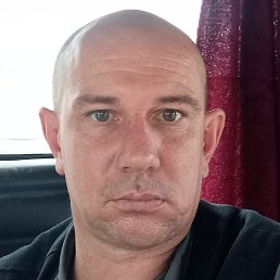 �������, �����, 41 ���