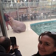 �������, 42 ����, �����������