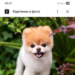 ���� ��������, ������, 42 ���� - ��������� 19 ������� 2026