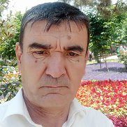 , 51 , 