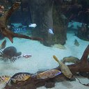 ����������... ���-�������, ����-�������... �� ������� ���� ����������