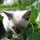 ���� �������, ������, 55 ��� - ��������� 18 ���� 2025 � ������ ������� ���