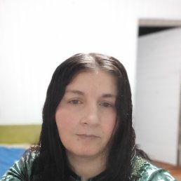 ������ ���������, 44 ����, �������