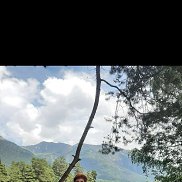 , 45 ,  