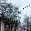 ���� ������, �����-���������, 66 ��� - ��������� 6 ������ 2026 � ������ ������ ��������