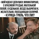  ,  -  17  2025   