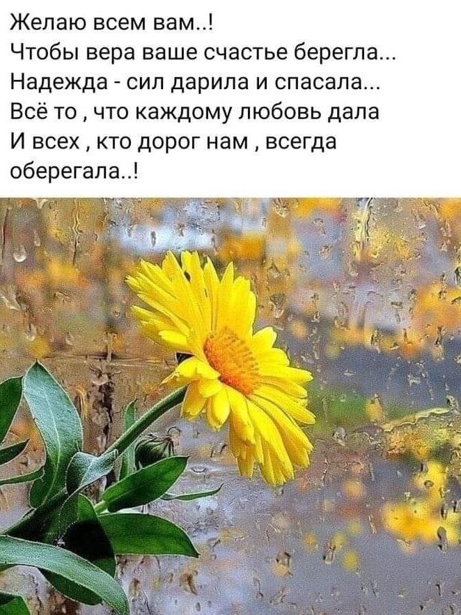  - 26  2024  06:57