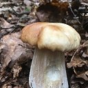 ���� ����, �����������, 67 ��� - ��������� 5 ������� 2024 � ������ ���� ����������