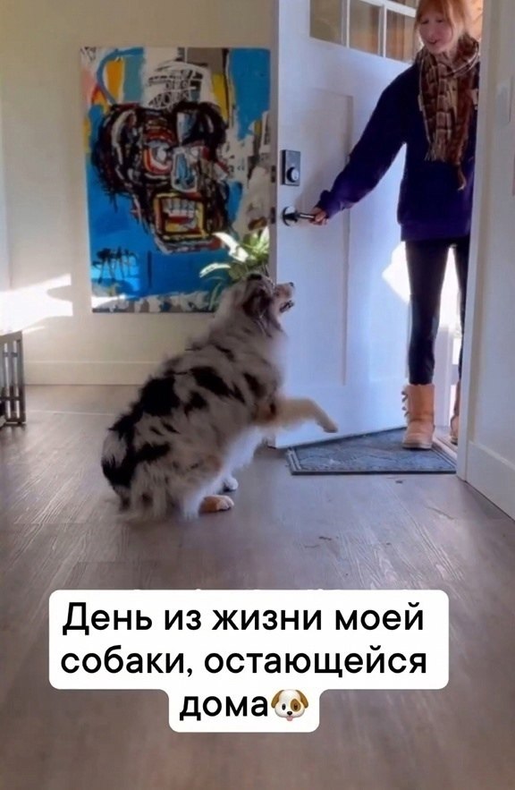    ,    ?