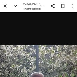 , 43, 