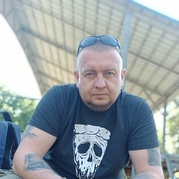 , 43, 