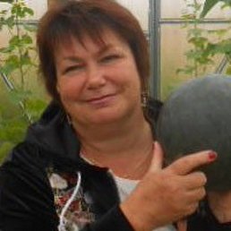 , 62, 