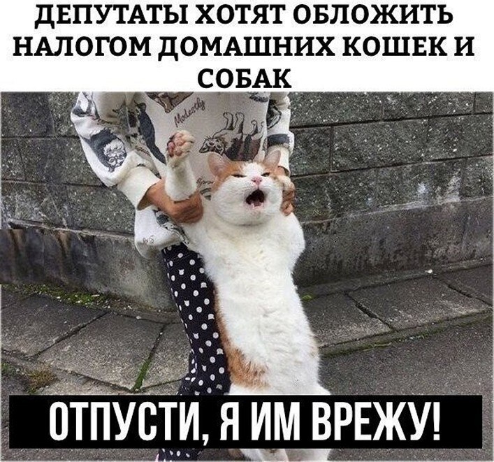 ? ,  ! - 29  2025  16:25