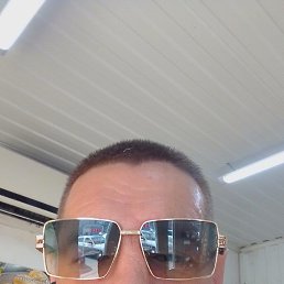 ���������, 44 ����, ������������