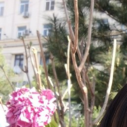 ������, ������, 32 ����