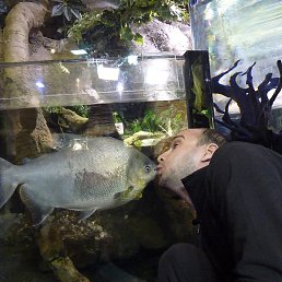 ������, ������, 44 ����