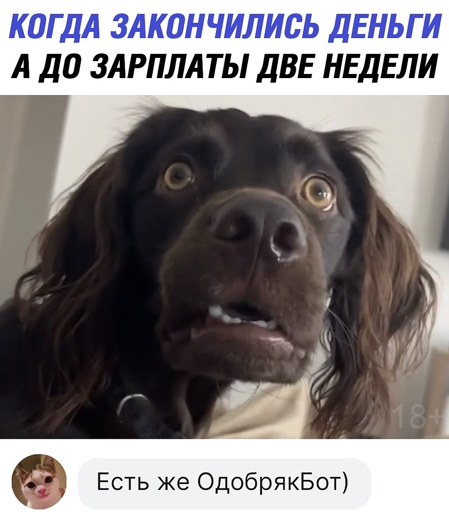    - https://fotostrana.ru/away?to=/sl/PGV3  [https://fotostrana.ru/away?to=/sl/QGV3]!