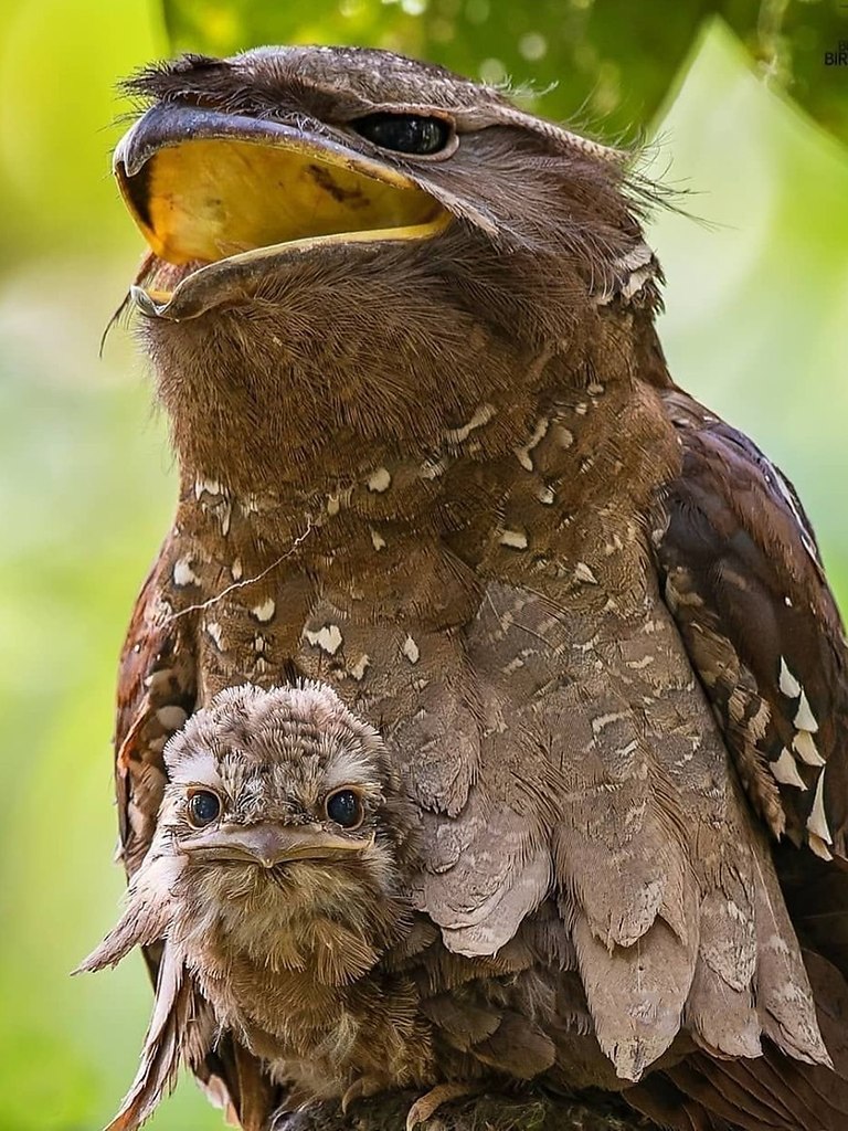 ��������� ������� ������� � ���� �� ����� ������� ����. �� �������� ��������� � ����� �������� � ... - 3