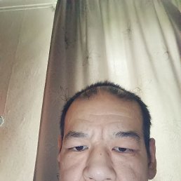 �����, 41 ���, ������