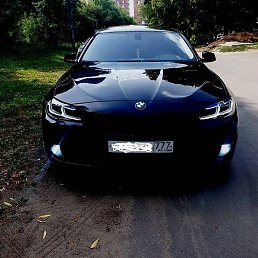 Www, ������, 47 ���