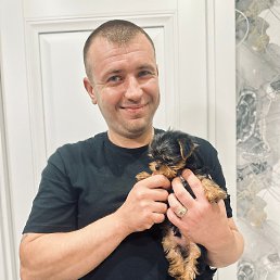 ���� ������, �����������, 37 ��� - ��������� 9 ������ 2025