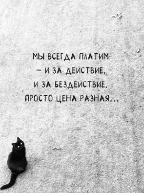   ! - 11  2025  01:17
