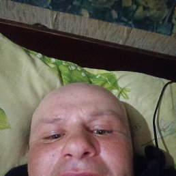 , 37, 