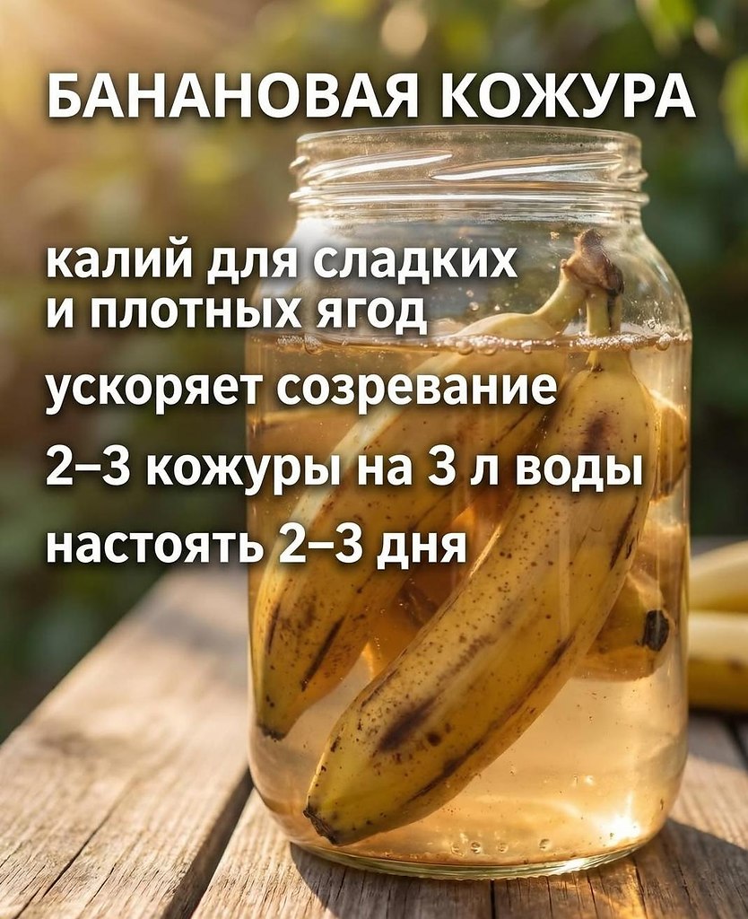 ��y�����������������������.�������������������y��y���y��������������y������������,��y���������y�� - 4