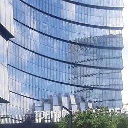 Grig, �����������, 47 ���