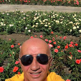 ���� Zurab, ����� - ��������� 14 ������� 2023