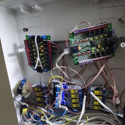 ������, ������, 42 ����