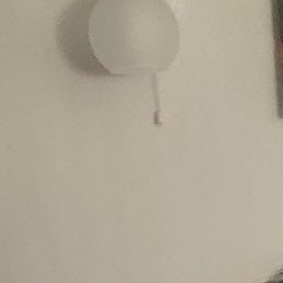 ����, �������, 49 ���