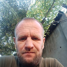 , 41, 