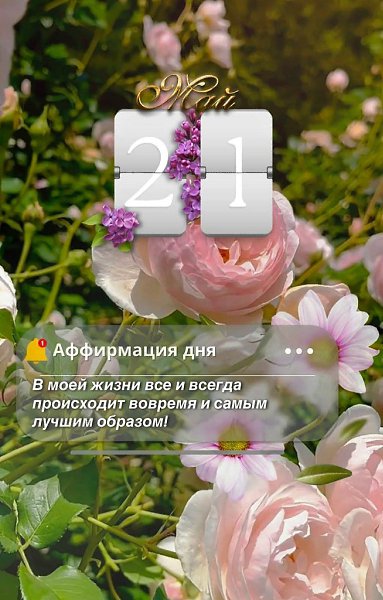   - 21  2025  08:16