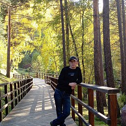 ������, 46 ���, ����������