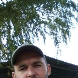 , 43 , 